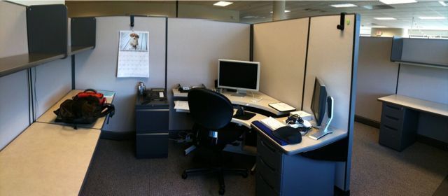 My new cubicle