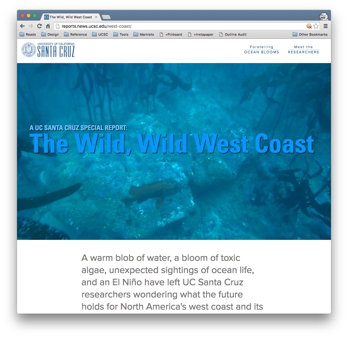 Screenshot of the ocean report